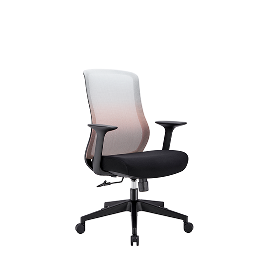 人體工學椅 Prism C3 | 個性搭配